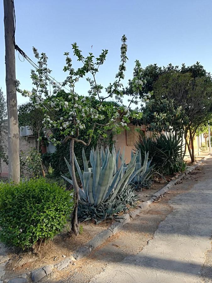 Casa Rural Los Pinos Valmuel Extérieur photo